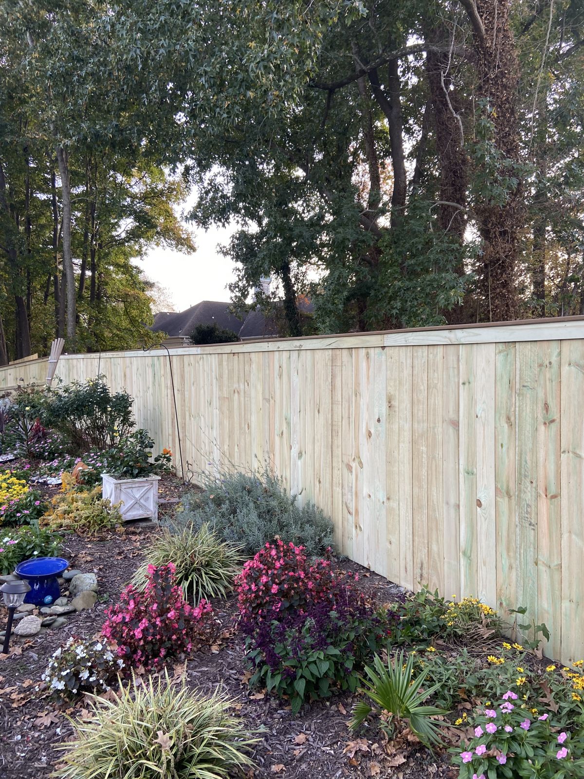 New wood privacy fence behind an established flower garden